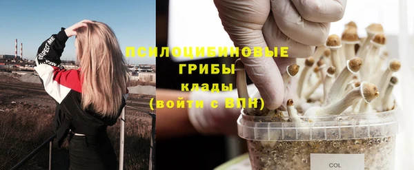 меф Вяземский